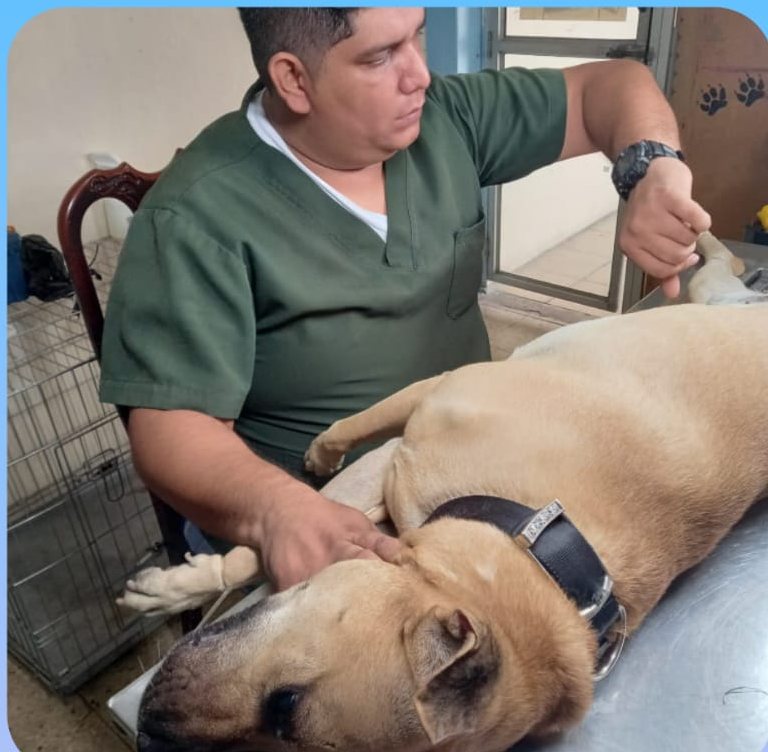 El Dr. José Ma atendiendo a un perro en la camilla